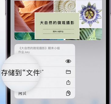 珲春apple维修中心分享iPhone文件应用中存储和找到下载文件