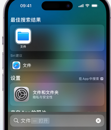 珲春apple维修中心分享iPhone文件应用中存储和找到下载文件