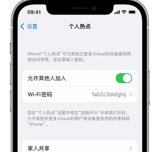 珲春apple服务站点分享iPhone上个人热点丢失了怎么办