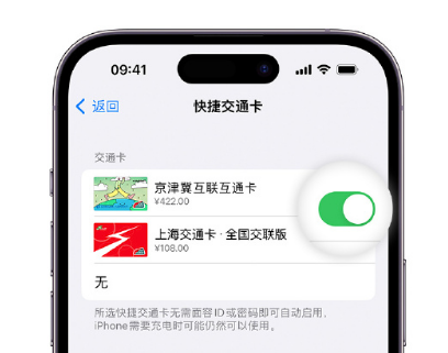 珲春apple维修点分享iPhone上更换Apple Pay快捷交通卡手绘卡面 