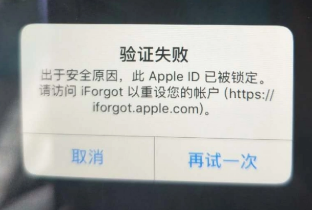 珲春iPhone维修分享iPhone上正常登录或使用AppleID怎么办 