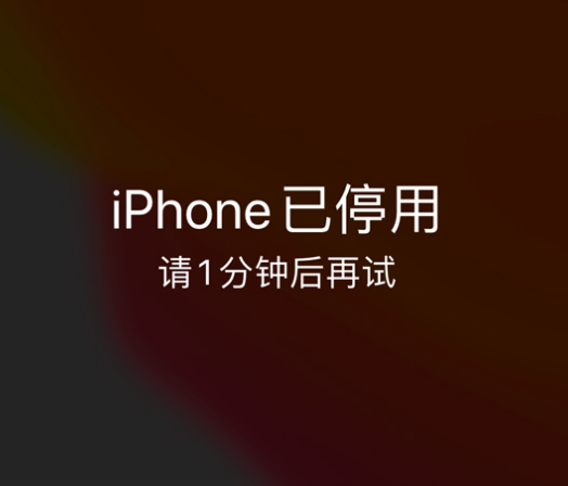 珲春苹果手机维修分享:iPhone 显示“不可用”或“已停用”怎么办？还能保留数据吗？ 