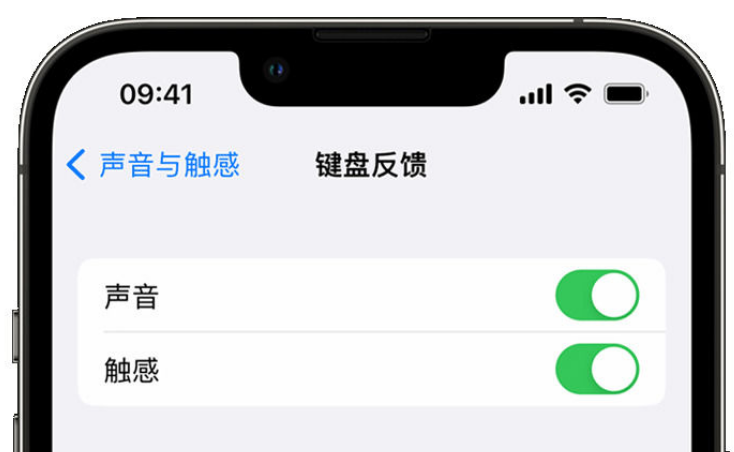 珲春苹果手机维修分享iPhone 14触感键盘使用方法 