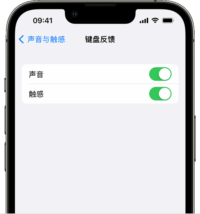 珲春苹果14维修店分享如何在 iPhone 14 机型中使用触感键盘 