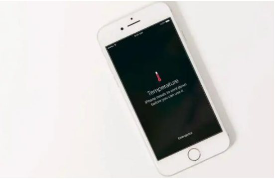珲春苹果手机维修分享iPhone 手机发热如何快速降温 
