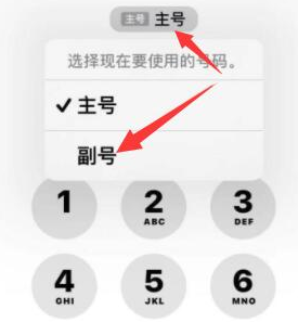 珲春苹果14维修店分享iPhone 14 Pro Max使用副卡打电话的方法 