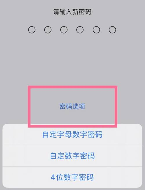 珲春苹果14维修分享iPhone 14plus设置密码的方法 