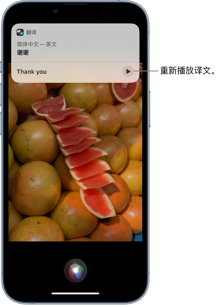 珲春苹果14维修分享 iPhone 14 机型中使用 Siri：了解 Siri 能帮你做什么 