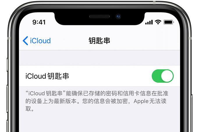 珲春苹果手机维修分享在 iPhone 上开启 iCloud 钥匙串之后会储存哪些信息 