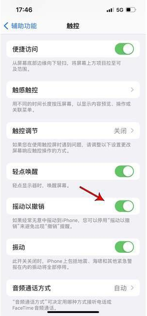 珲春苹果手机维修分享iPhone手机如何设置摇一摇删除文字 