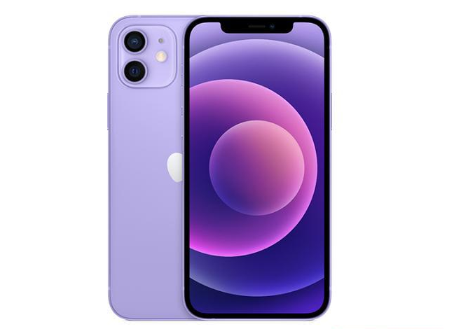 珲春苹果手机维修分享现阶段要不要入手紫色版iPhone12 