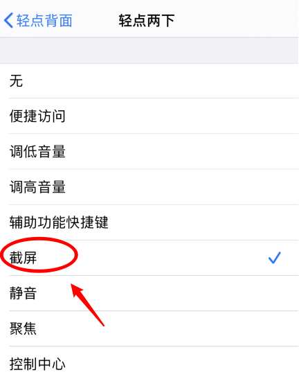 珲春苹果手机维修分享iPhone12如何启用双击截屏 
